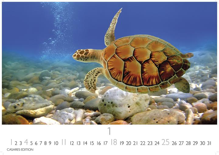 Image du produit Unterwasserwelten 2026 S 24x35cm (24 x 35 cm, Allemand)