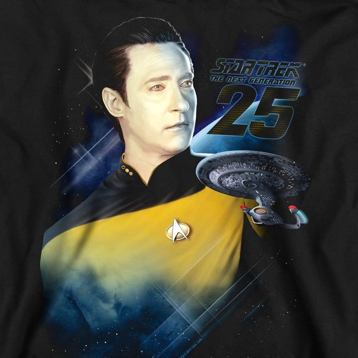 Actual product image Unisex Adult 25th Data Sweatshirt (S)