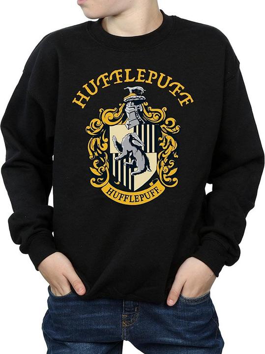Produktbild Boys Gryffindor Cotton Sweatshirt (128)