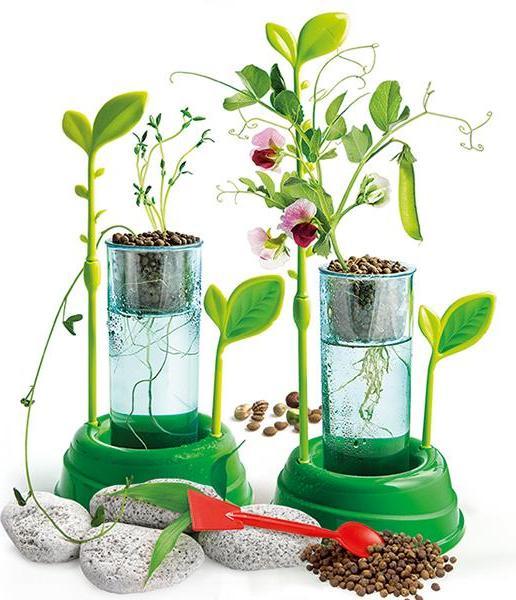 Immagine prodotto Clementoni Botanica e idroponica