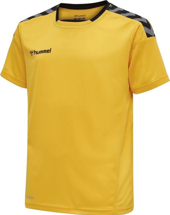 Actual product image hummel Authentic Kids Poly Jersey S/S (140)