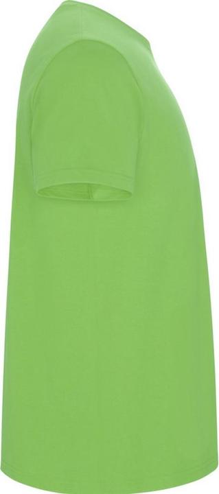 Immagine prodotto Alpinia Stafford Maglietta Uomo (XL)