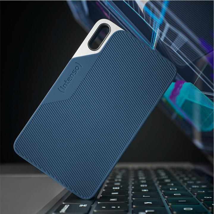 Productafbeelding Intenso TX100 (250 GB)