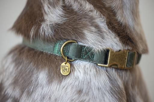Actual product image Designed by Lotte Dog collar Velura (50, Dog, Walks, Jogging)