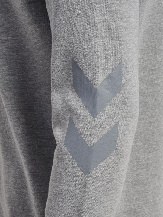 Actual product image hummel Legacy Zip Hoodie (XL)
