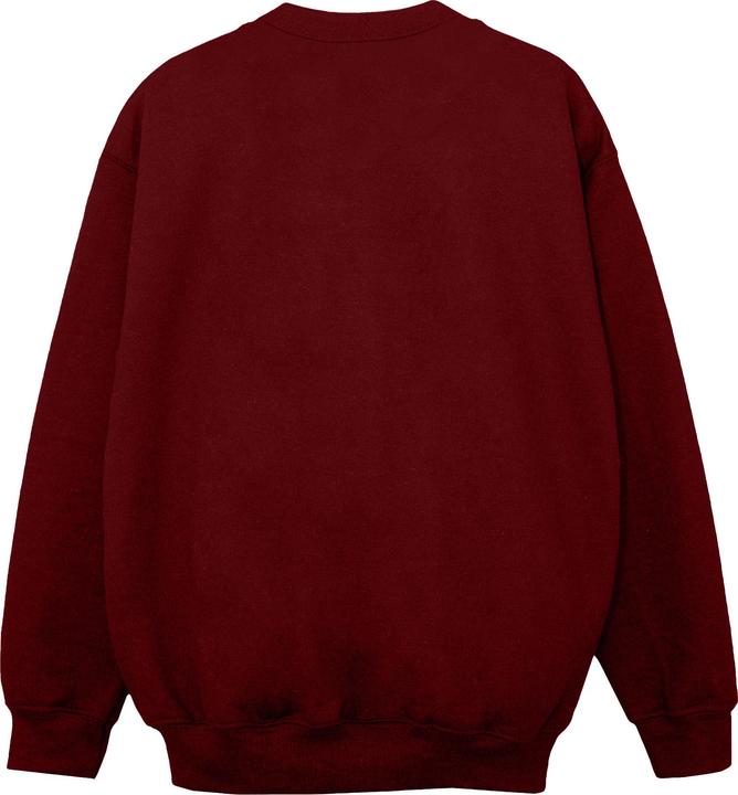 Image du produit Friends - Sweat FAIR ISLE CENTRAL PERK - Fille (140, 146)