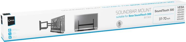 Actual product image Cavus BST300 (1 pcs., Wall installation, Height-adjustable)