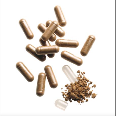 Produktbild Padma 28 active (100 Stück, Kapseln, 87 g)