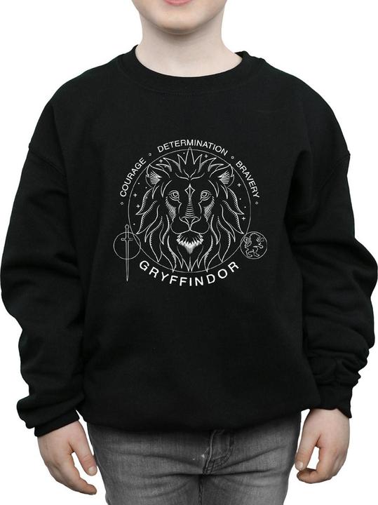 Produktbild Gryffindor Seal Sweatshirt Jungen (128)