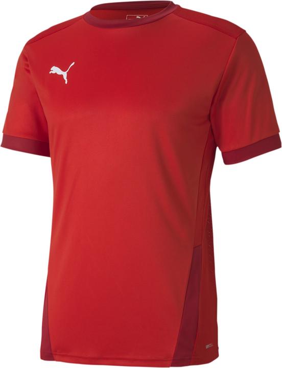Puma teamGOAL 23 Jersey-704171 (XL)