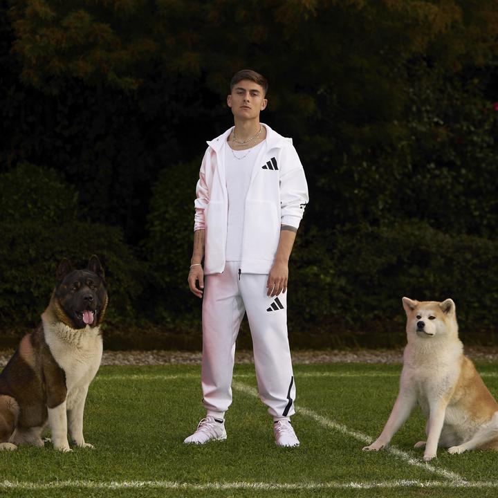 Actual product image adidas Z.N.E. Pants (M)