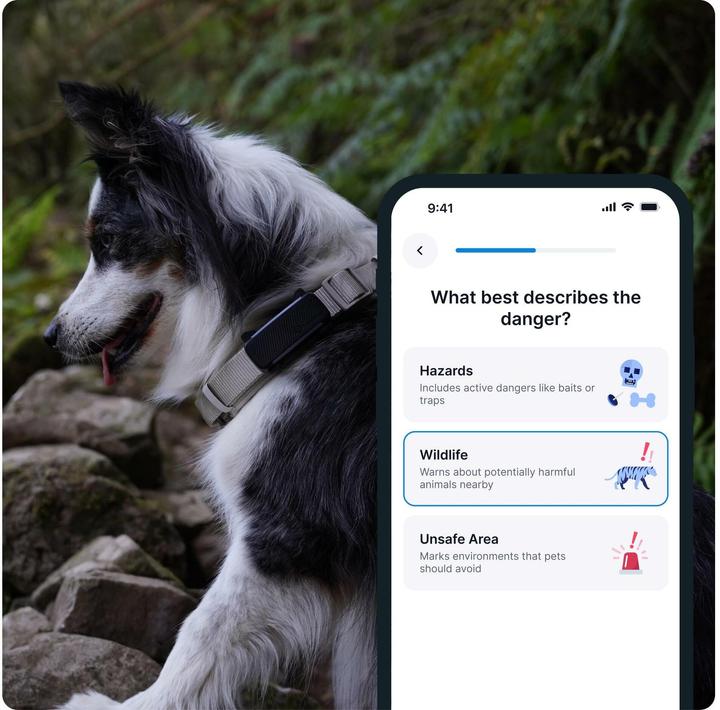 Actual product image Tractive GPS Tracker Dog 6 (Dog, Walks)