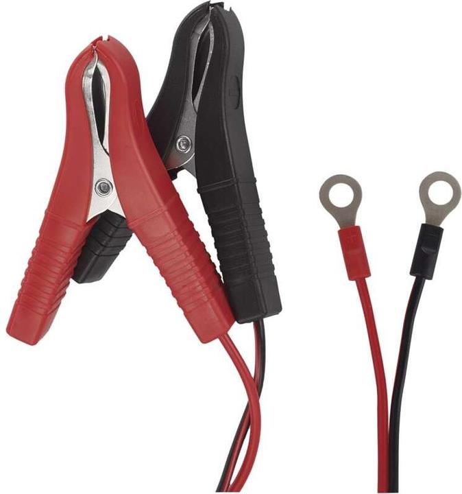 Actual product image Emos N1015 (12V, 6V, 0.80 A)