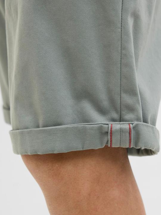 Actual product image Jack & Jones Regular fit chino shorts Chino shorts (L)