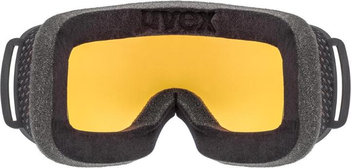 Immagine prodotto Uvex Sports Discesa 2000 S CV