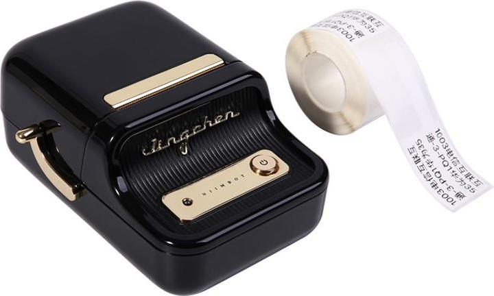Actual product image Niimbot B21 (203 dpi)