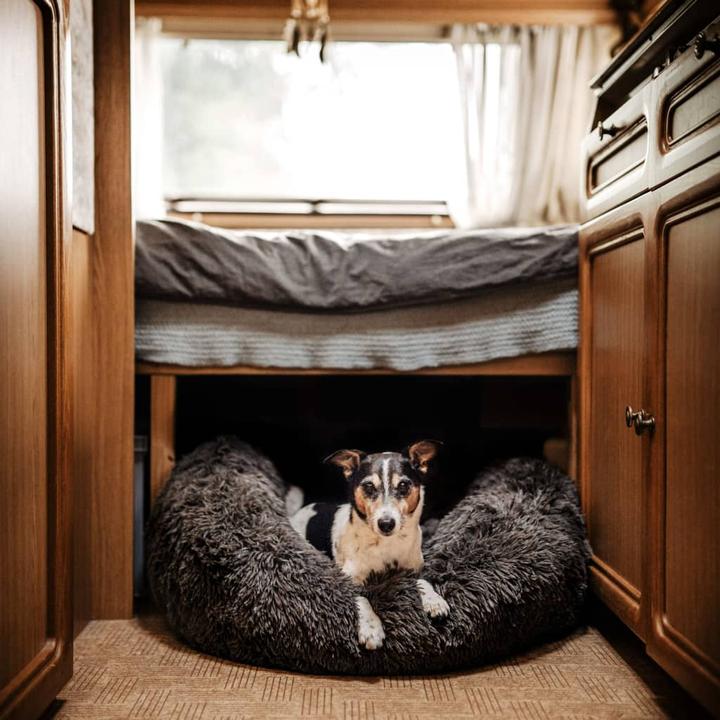 Image du produit District 70 Lit pour chien District70 duvet Donut (Chien, Chat)