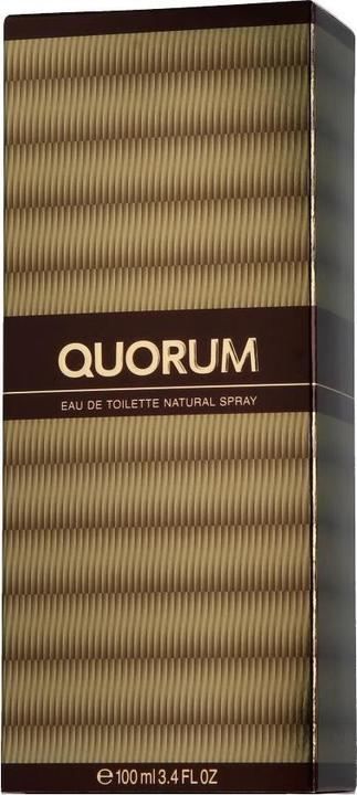 Actual product image Antonio Puig Quorum (Eau de toilette, 100 ml)