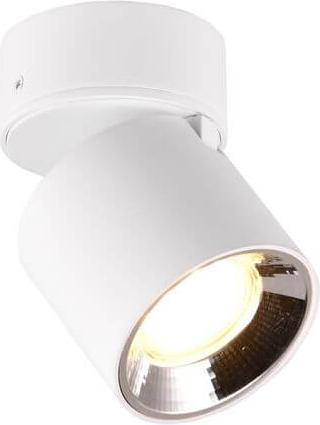 Image du produit Trio Luminaires 651000131 Spot encastré/en saillie GUAYANA (GU10)