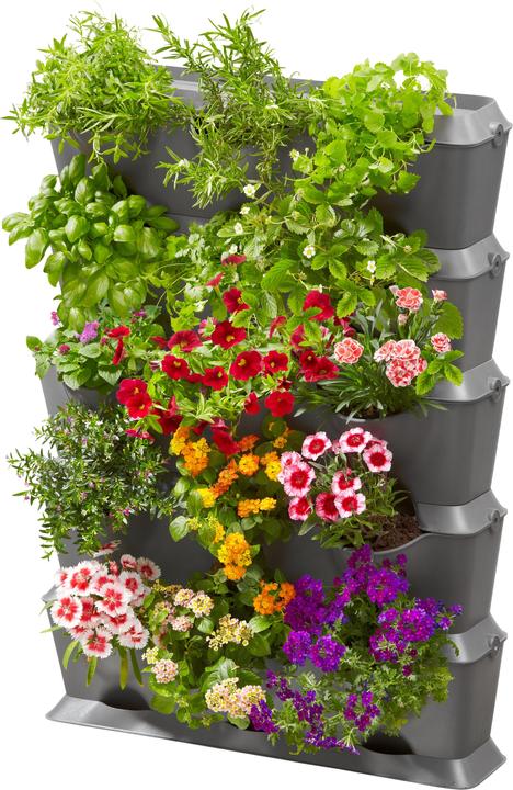 Produktbild Gardena NatureUp (15 cm)