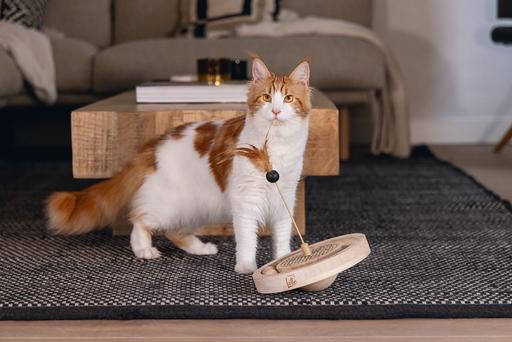 Actual product image Designed by Lotte Winni (Catmint toy)