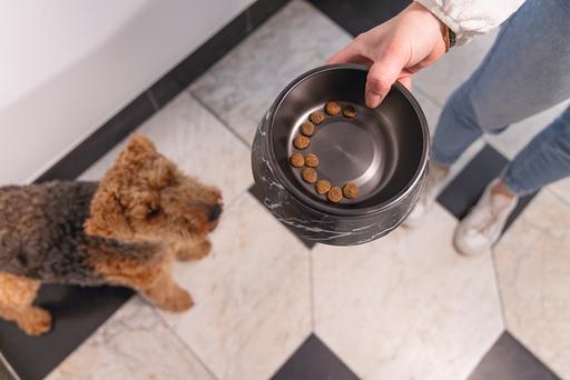 Actual product image Designed by Lotte Dog bowl Meis (0.35 l)