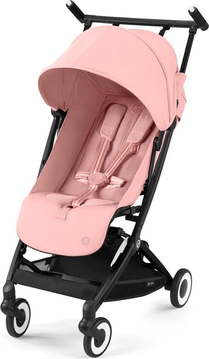 Rose bonbon Rose clair