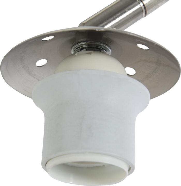 Actual product image Steinhauer Gramineus