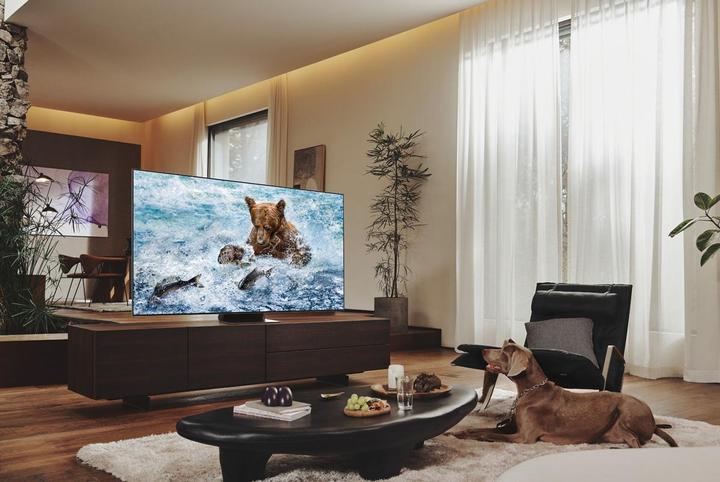 Image du produit Samsung QE65QN900B (65", QN900B, QLED, 8K, 2022)