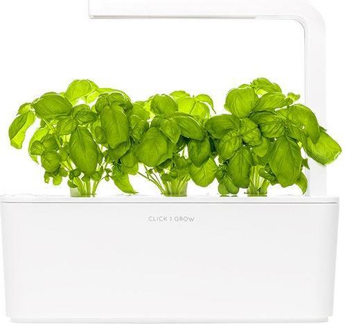 Image du produit Click and Grow Basil (Graines d'herbes aromatiques)