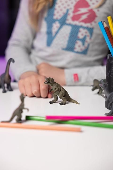 Actual product image Papo Mini dinosaur set