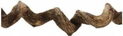 Produktbild Reptiles-Planet Premium Vine Sambawa