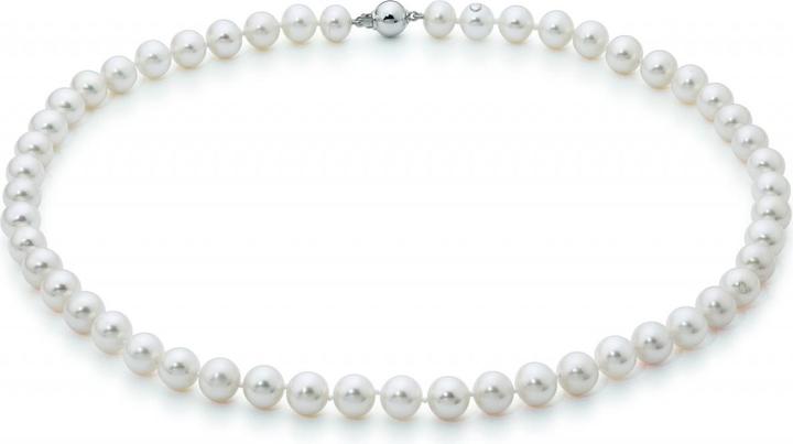Adriana la mia Perla Premium (Gold)