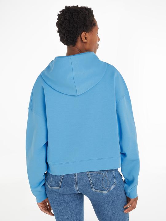 Produktbild Calvin Klein Jeans Rib Insert Interlock Hoodie - 89179 (S)