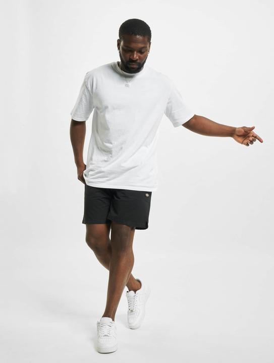 Actual product image Dickies Pelican Rapids fabric shorts - 91859 (S)