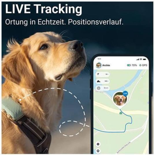 Immagine prodotto Tractive Cane GPS (XL, Cane, Passeggiare, Jogging, Sport cane)