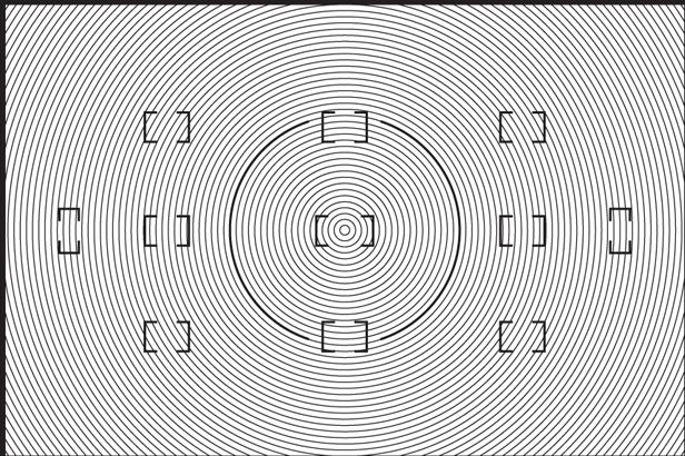 Actual product image Nikon Viewfinder disc D2 type B
