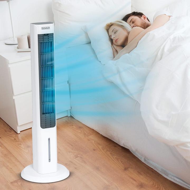 Actual product image Livington Air cooler set