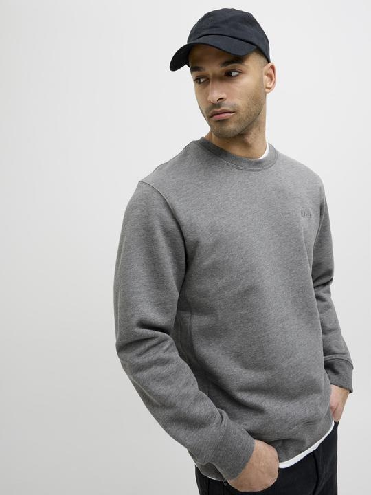 Actual product image Jack & Jones RDD Logo Sweatshirt Sweatshirt (M)