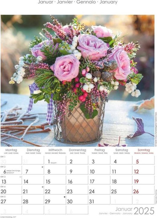 Actual product image Alpha Edition Rosenträume 2025 picture calendar, 23,7x34cm, wall calendar with space for notes and (Hardcover, German, Italian, French, English)