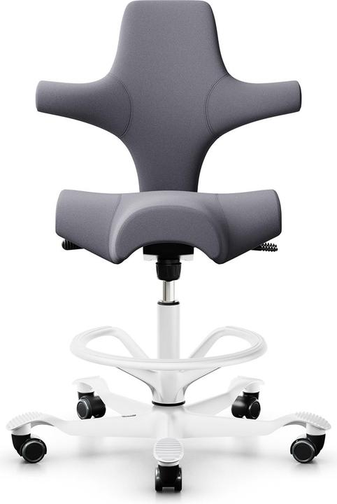 HAG Capisco 8106