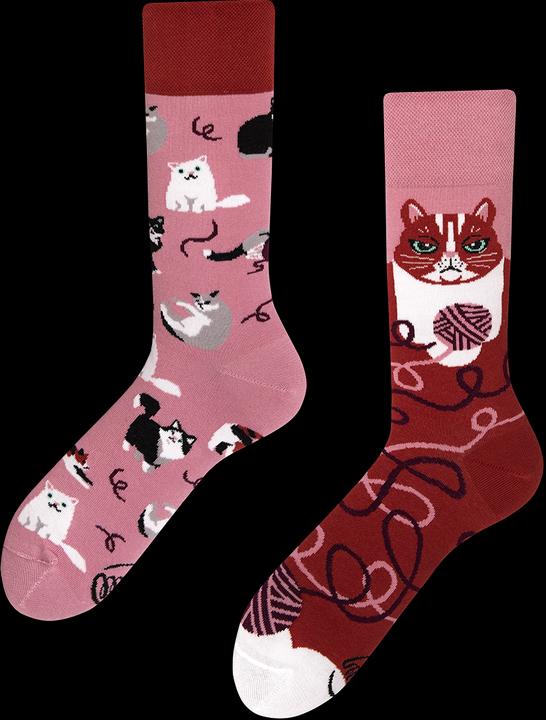 Actual product image Many Mornings Playful Cat (Single pack, 35 - 38)