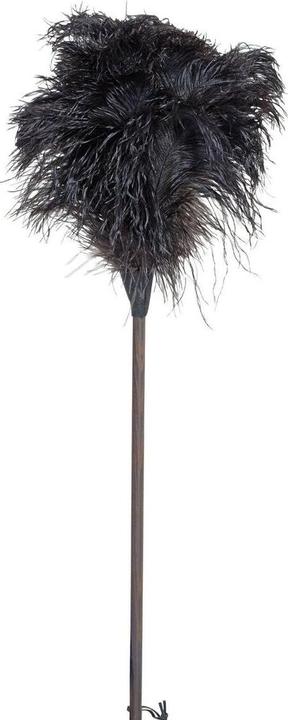 Image du produit Bürstenhaus Redecker Fronde d'autruche (1 pcs)