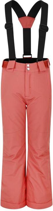 Dare2b Outmove II Pant