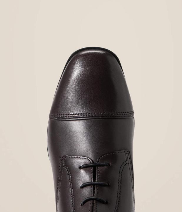 Actual product image Ariat Riding Boots Palisade (38)