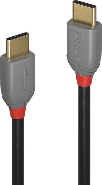 Actual product image Lindy Anthra Line (0.50 m, USB 2.0)
