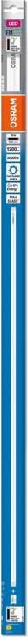 Produktbild Osram Led Tube T8 Em (G13, 10 W, 1200 lm, 1 x, E)
