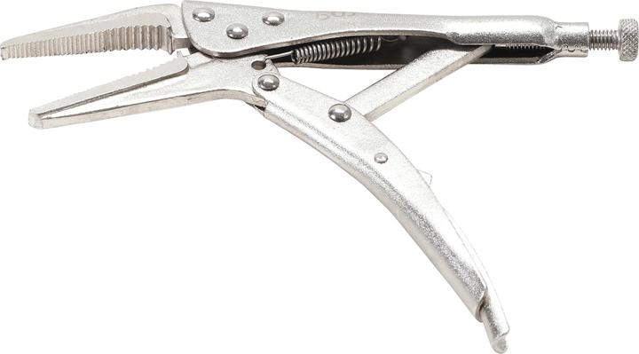 BGS Langbeck-Gripzange 170 mm (170 mm)