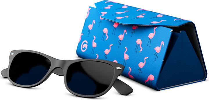 Image du produit Gogglesoc Flamingos Sunnycase