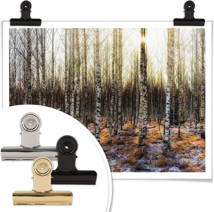 Produktbild Trenddeko Sonnenschein im Birkenwald (30 x 24 cm)